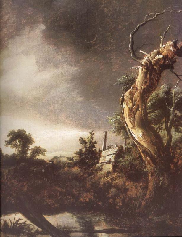 Jacob van Ruisdael Landscape during a Storm china oil painting image